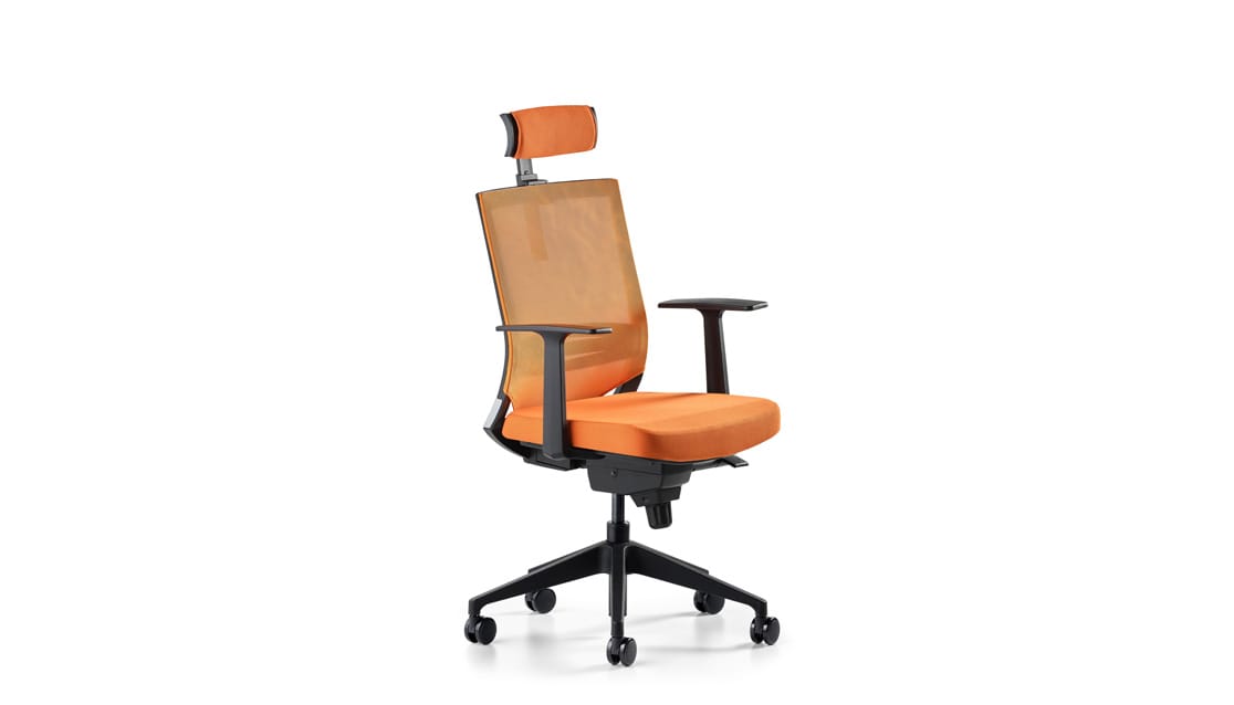 Cozy Yönetici Çalışma Koltuğu